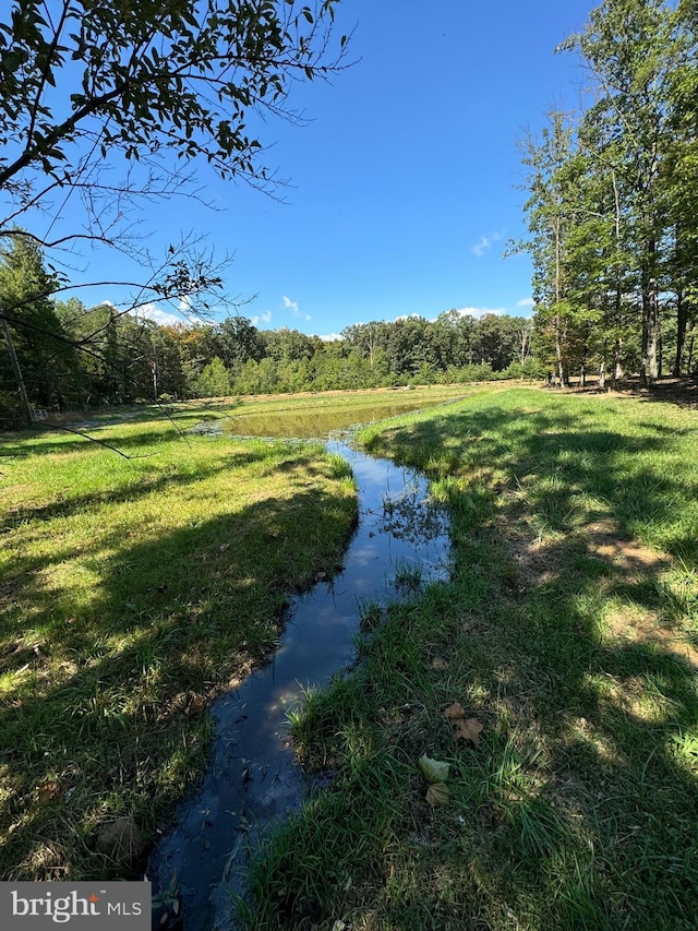 view of yard featuring a water view and a view of trees