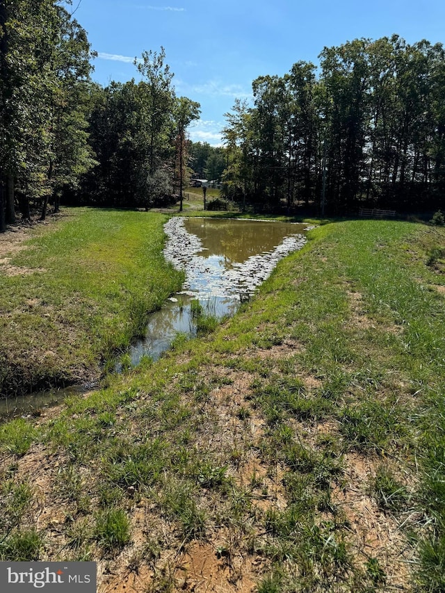 view of yard featuring a forest view