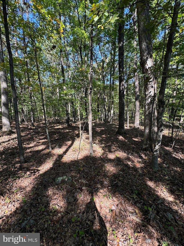 view of landscape featuring a wooded view