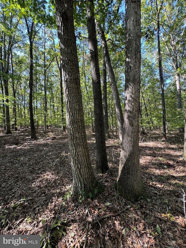 view of landscape with a wooded view