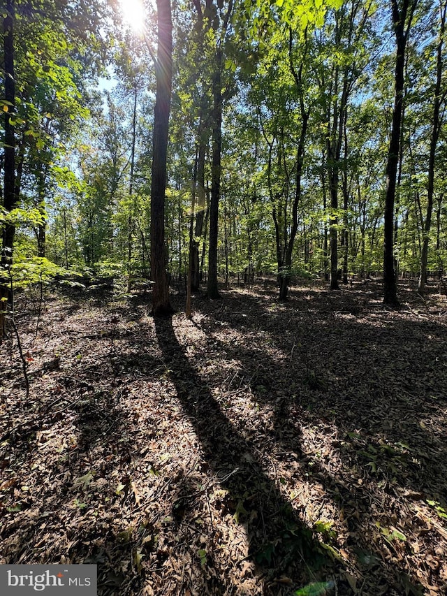 view of nature with a view of trees