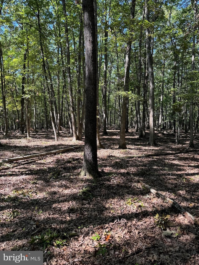 view of local wilderness with a view of trees