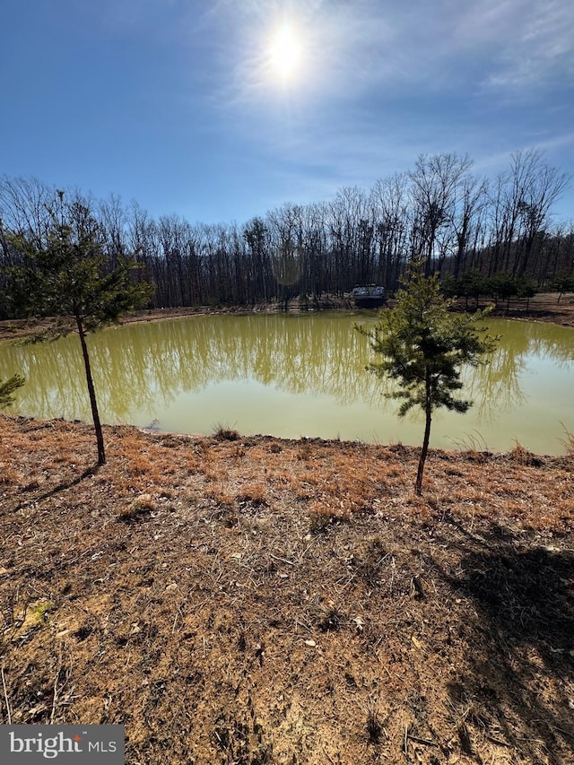 water view with a wooded view