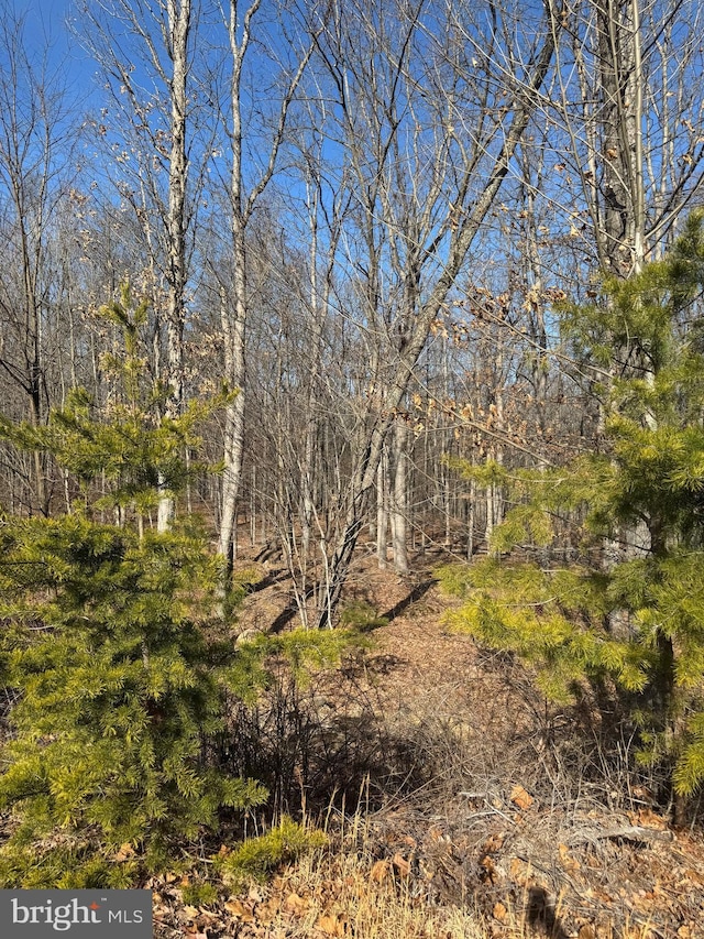 view of landscape with a forest view