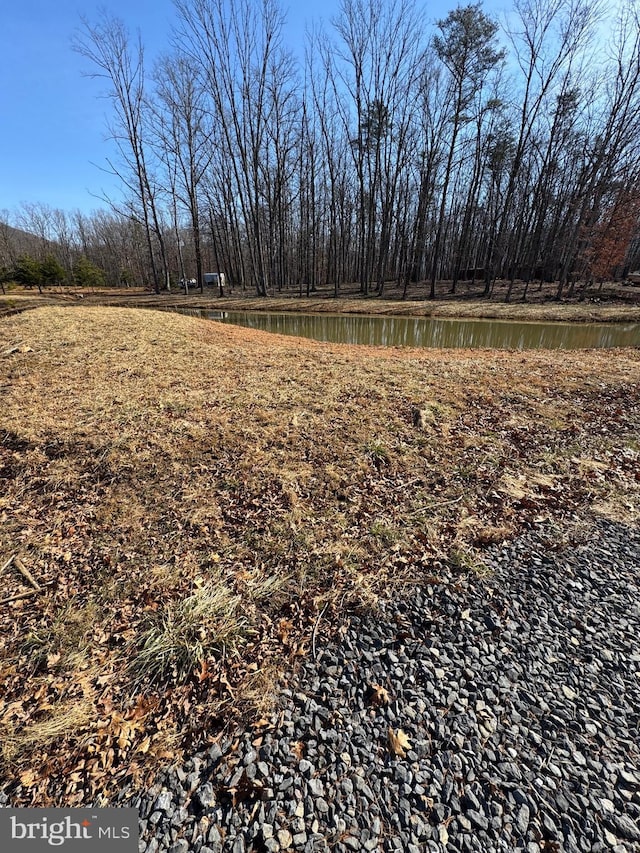 view of yard featuring a water view