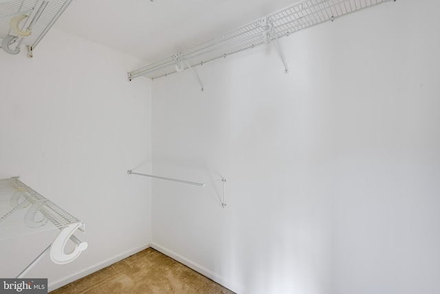 spacious closet featuring light colored carpet