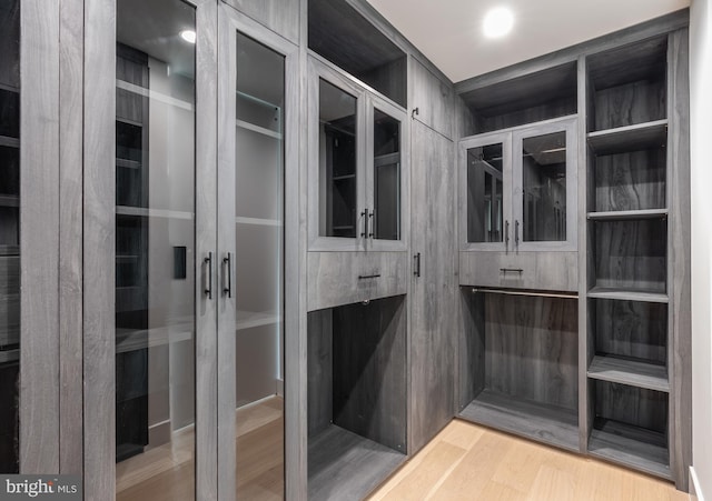 walk in closet featuring wood finished floors