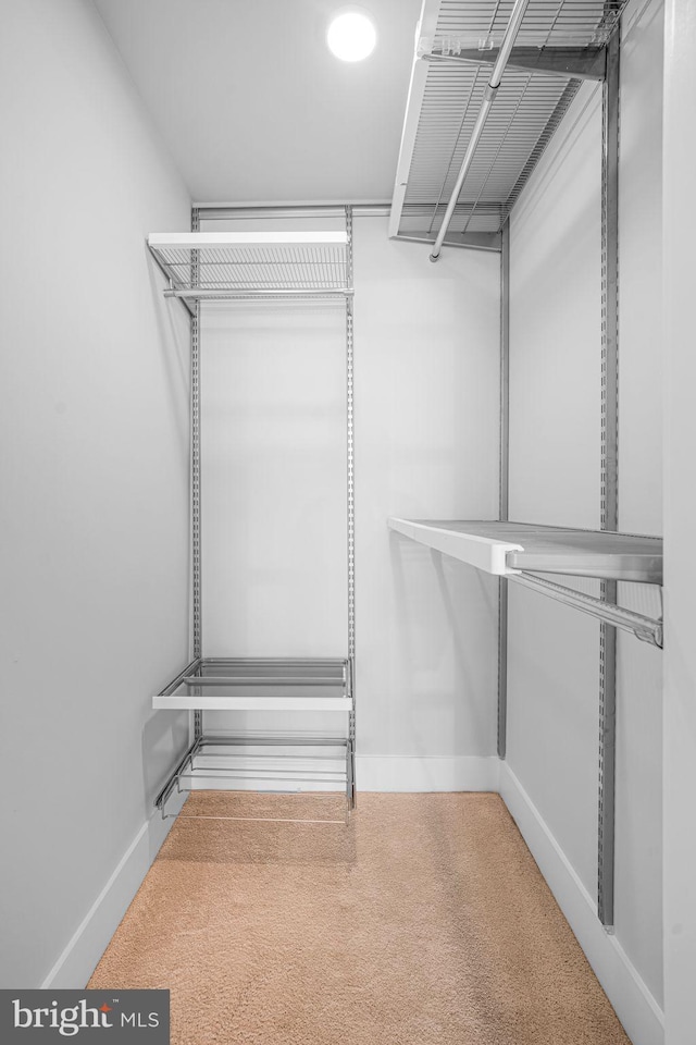 view of walk in closet