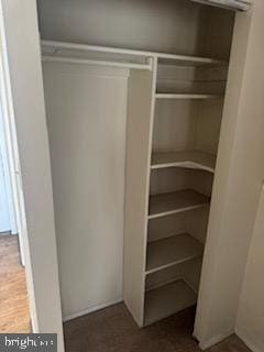 view of closet