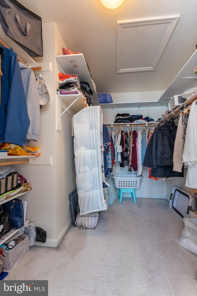 spacious closet with carpet floors