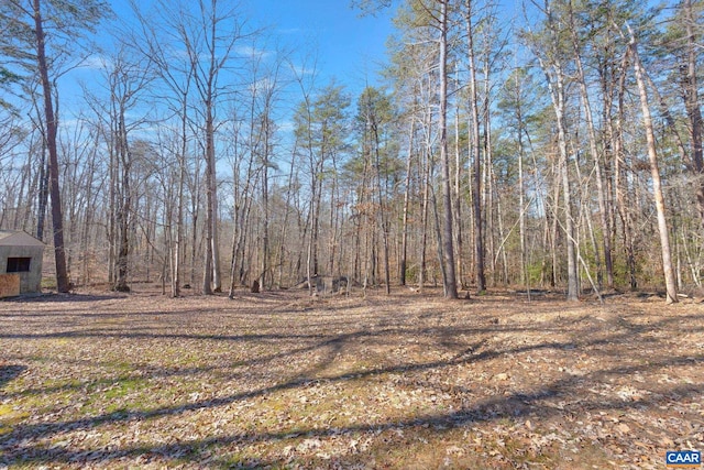 view of yard with a forest view and an outbuilding