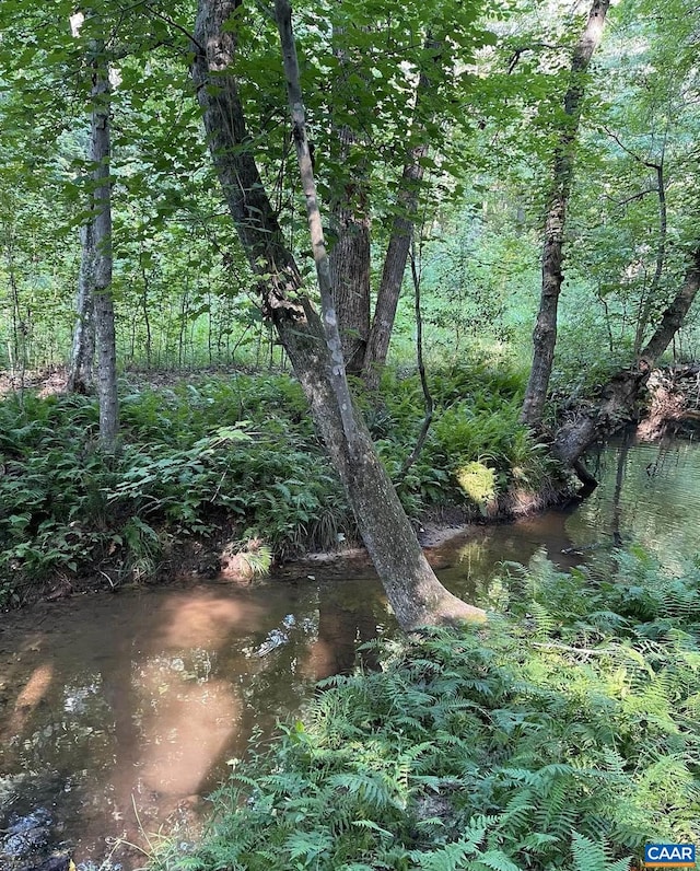 view of local wilderness with a view of trees