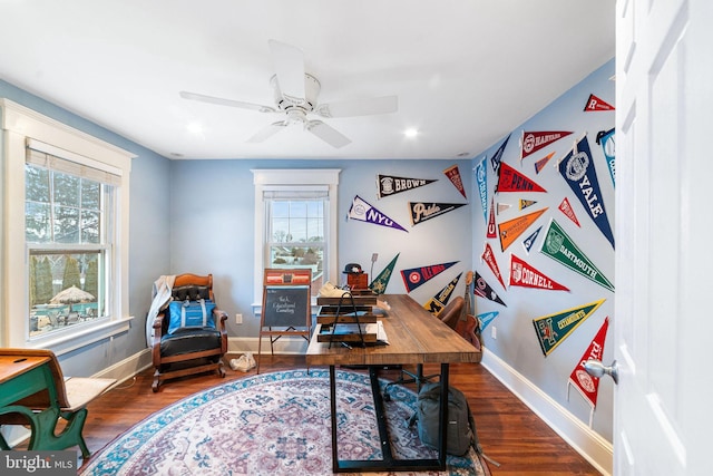 office area featuring plenty of natural light, baseboards, and wood finished floors