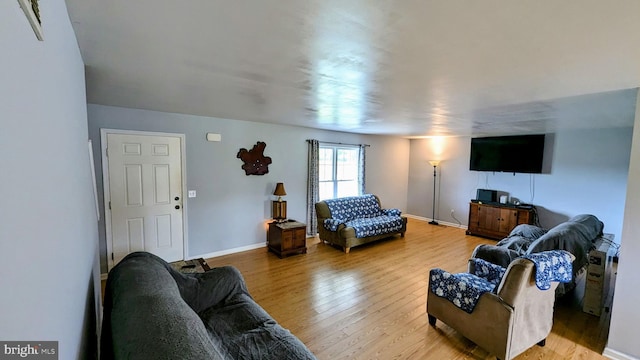 living area featuring baseboards and wood finished floors