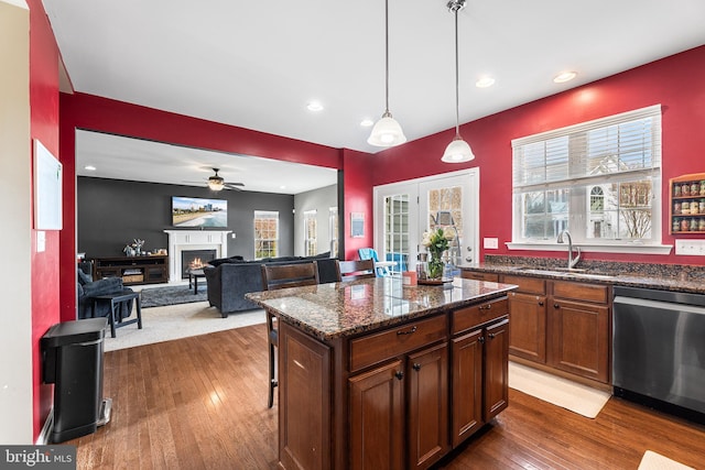 kitchen featuring plenty of natural light, a sink, a lit fireplace, and stainless steel dishwasher