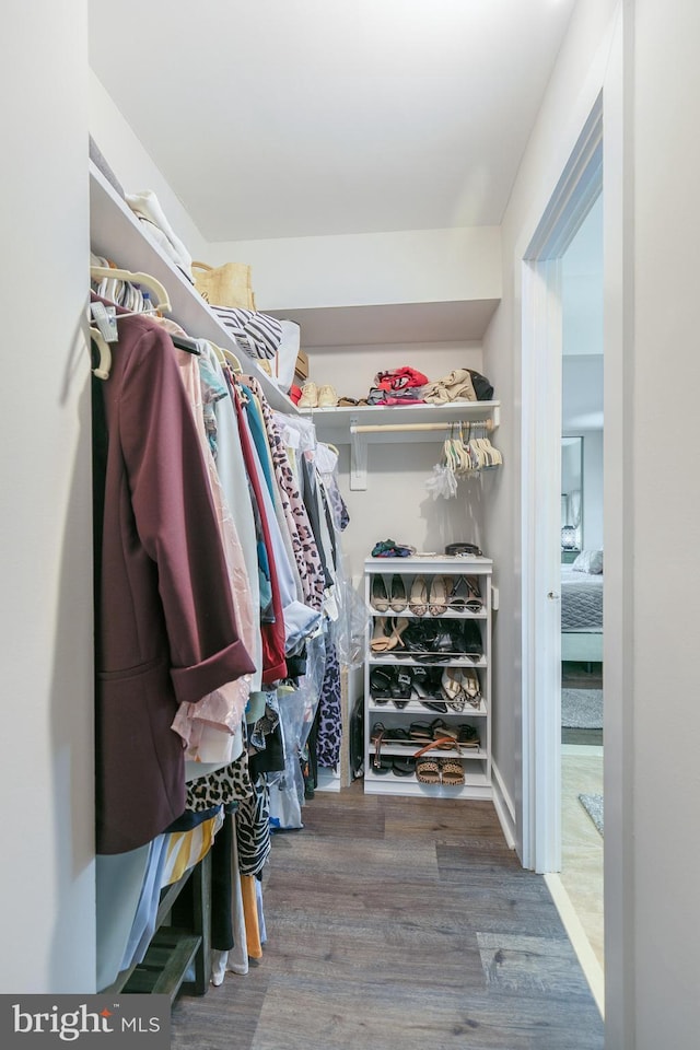 walk in closet featuring wood finished floors