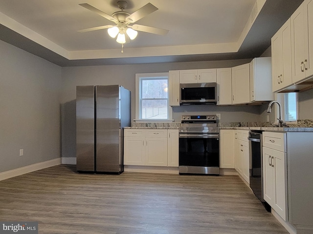 kitchen with white cabinetry, stainless steel appliances, and a tray ceiling