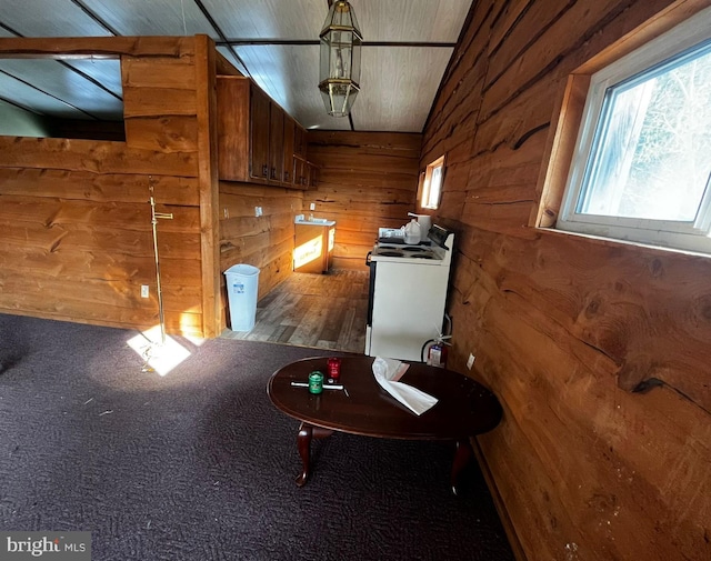 interior space featuring vaulted ceiling, washer / clothes dryer, and wood walls