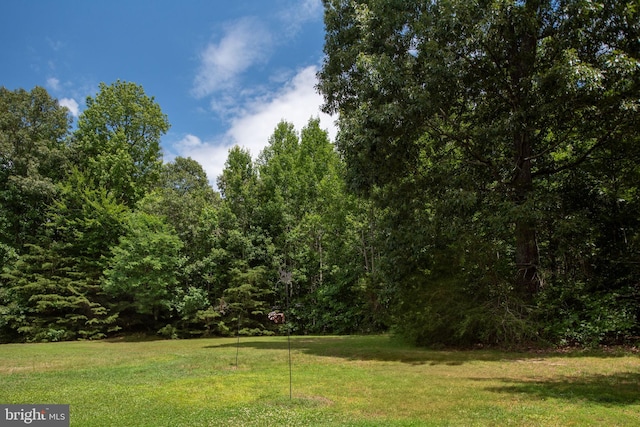 view of yard featuring a forest view