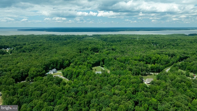 bird's eye view featuring a water view and a forest view