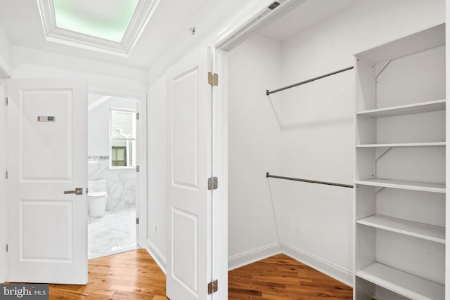 walk in closet featuring wood finished floors