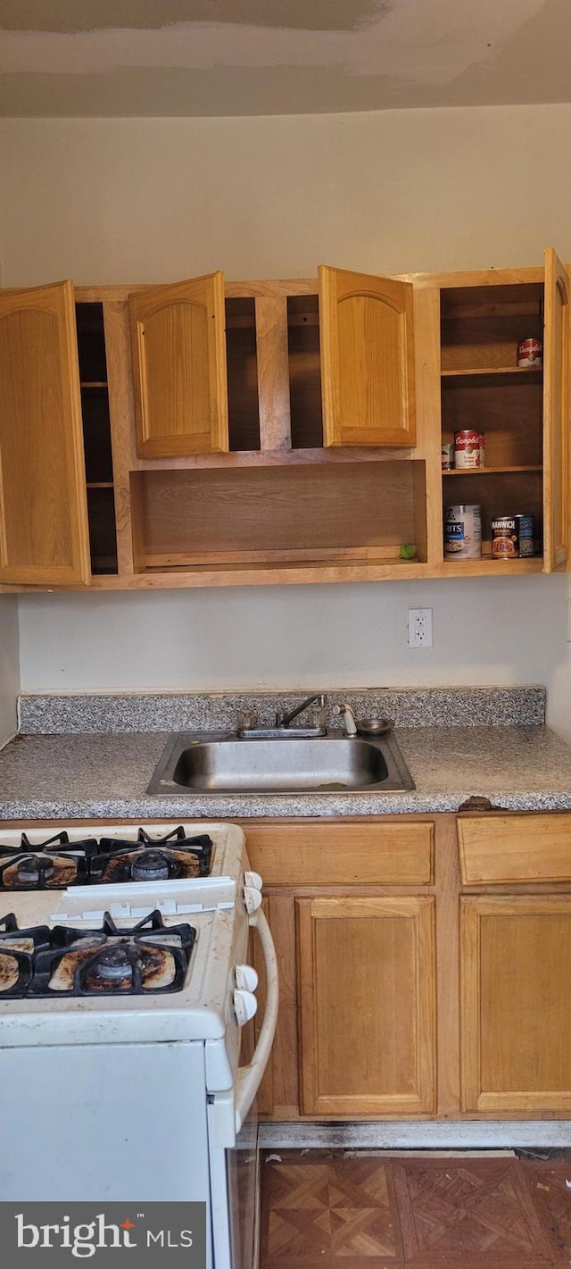 kitchen featuring gas range gas stove, open shelves, and a sink