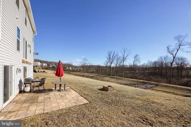 view of yard featuring a patio