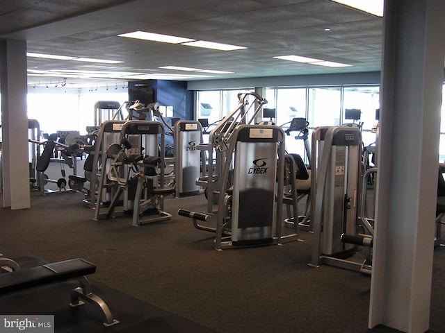 901 N Penn St Unit P405, Philadelphia, PA 19123 - workout area with healthy amount of natural light and carpet flooring
