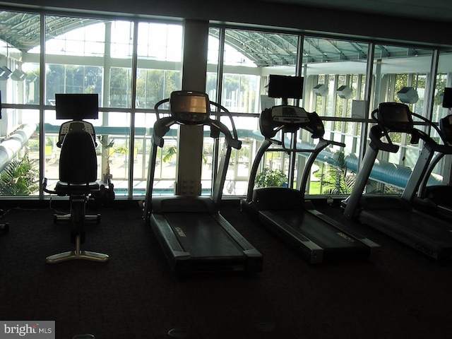 901 N Penn St Unit P405, Philadelphia, PA 19123 - gym with carpet floors and healthy amount of natural light