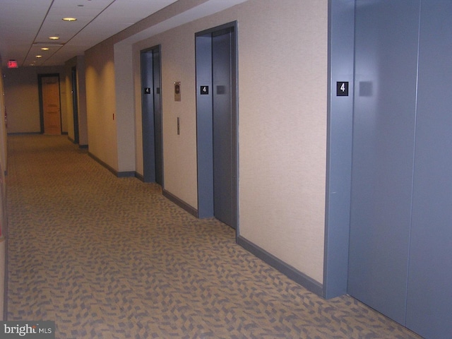 hall with baseboards, elevator, and carpet