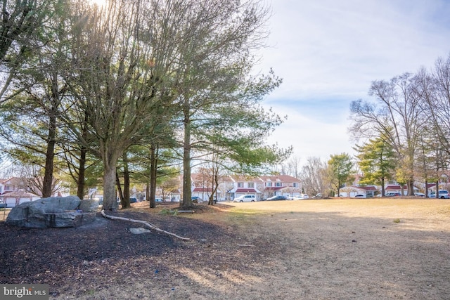 view of yard featuring a residential view