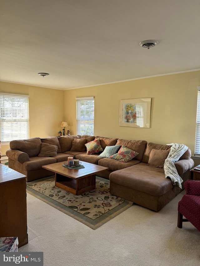 living room with carpet, visible vents, and crown molding