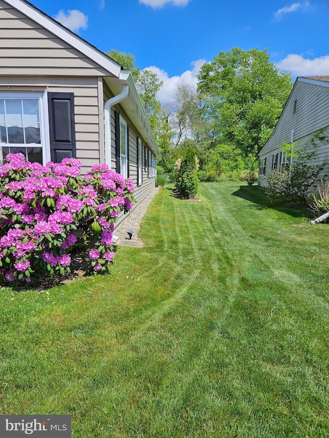 view of yard