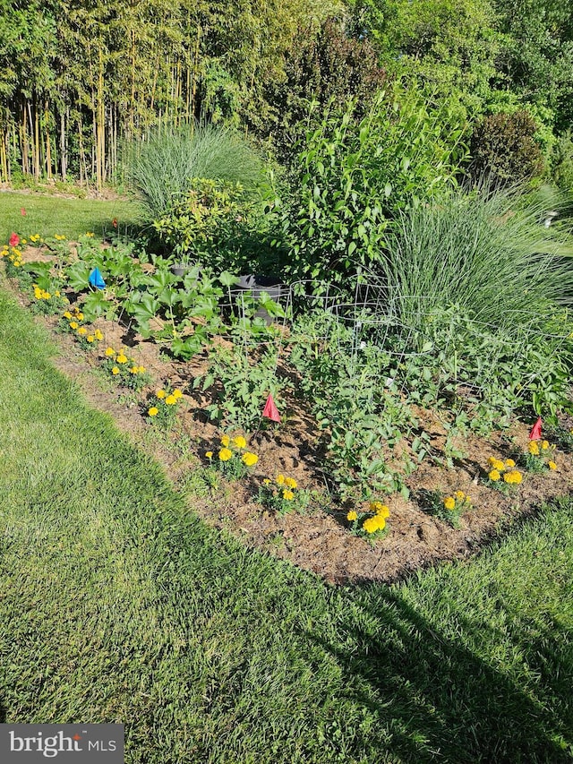 view of yard featuring a vegetable garden