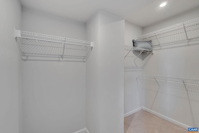 spacious closet with carpet floors