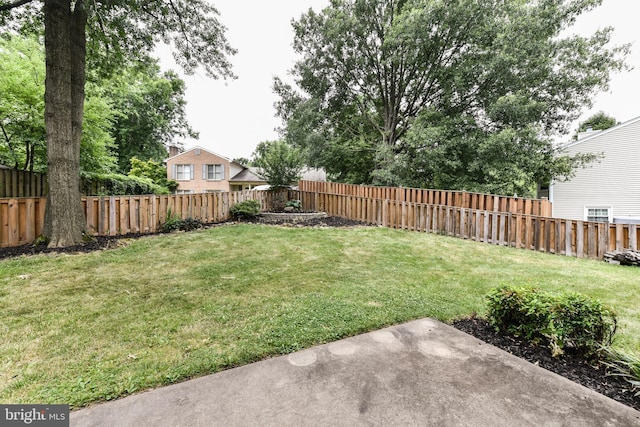 view of yard with a patio area and a fenced backyard