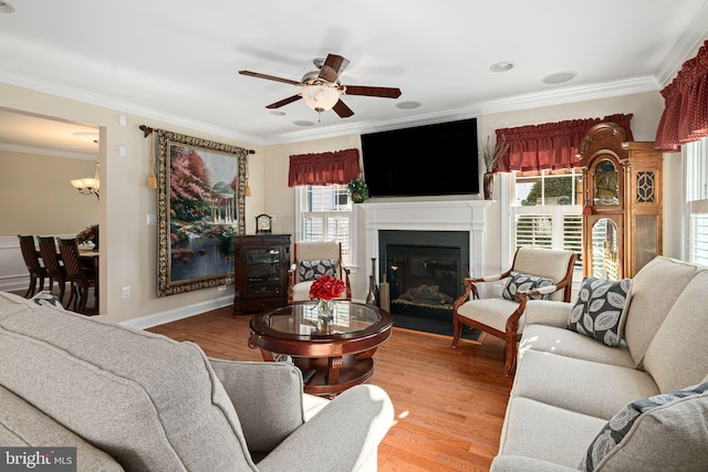 living area with crown molding, a glass covered fireplace, wood finished floors, baseboards, and ceiling fan with notable chandelier