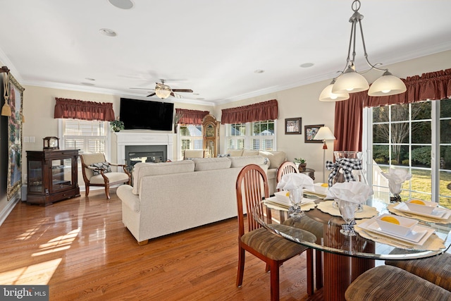 dining area with ornamental molding, a glass covered fireplace, a ceiling fan, and wood finished floors