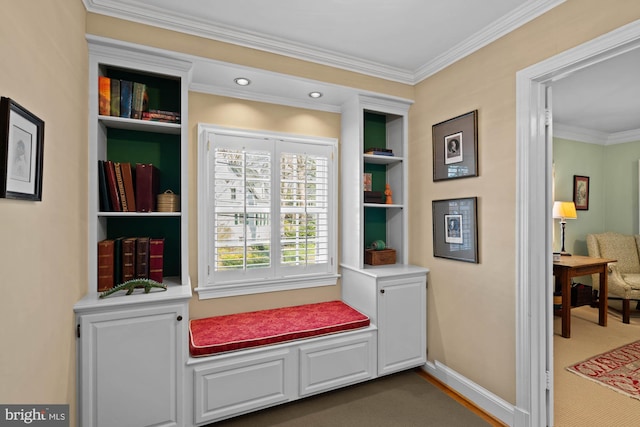 mudroom with carpet, baseboards, and crown molding