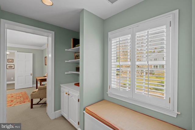 interior space with light carpet, baseboards, and crown molding