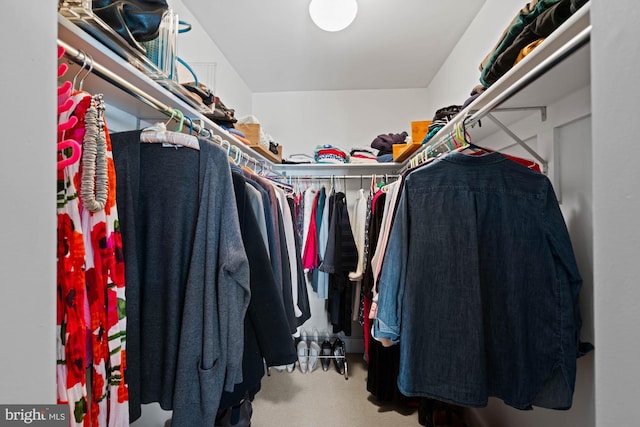 walk in closet with carpet flooring