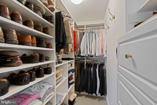 spacious closet featuring carpet floors