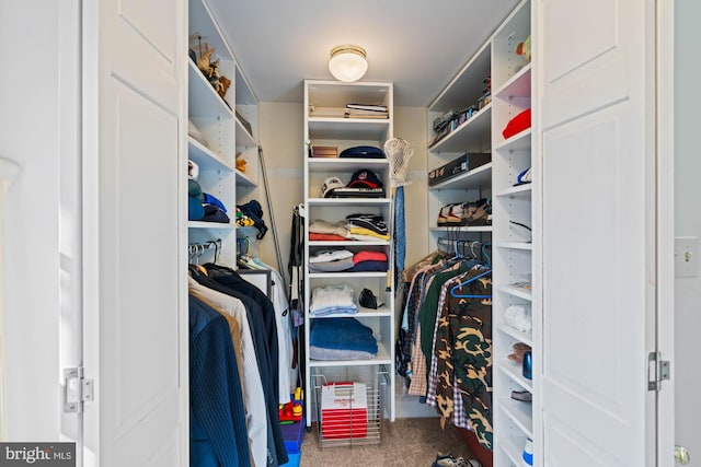 walk in closet with carpet floors