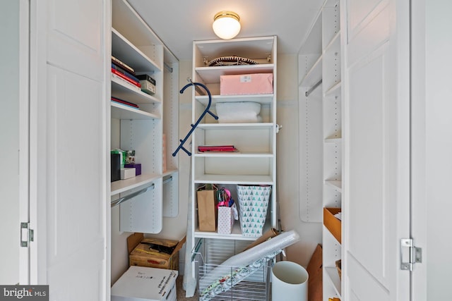 view of walk in closet