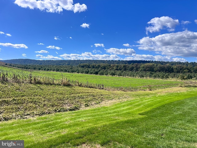 view of mountain feature with a rural view and a view of trees