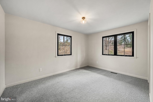 empty room with carpet, a wealth of natural light, and baseboards