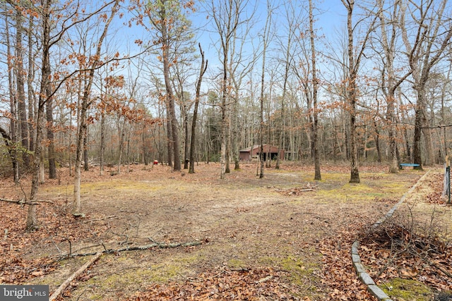 view of yard featuring an outbuilding and a view of trees