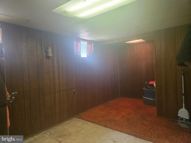 basement featuring wood walls and carpet floors