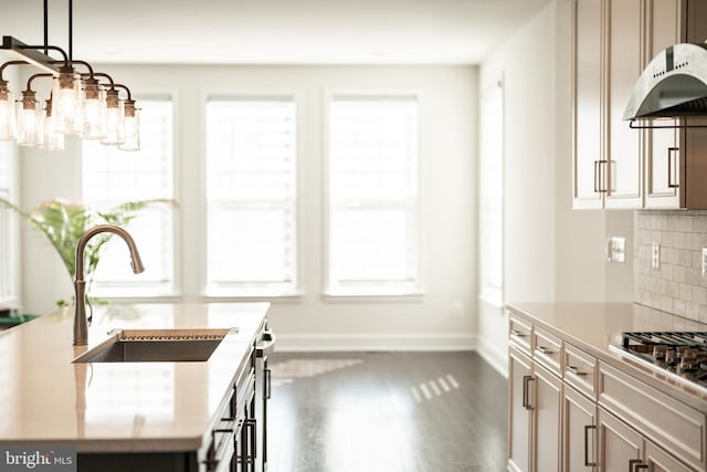 kitchen featuring tasteful backsplash, baseboards, wood finished floors, light countertops, and a sink