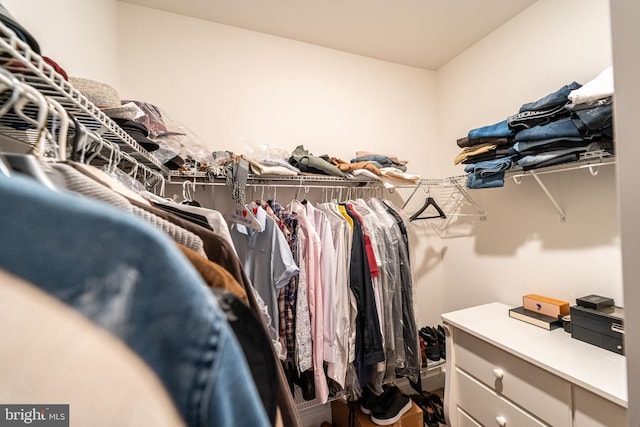 view of spacious closet